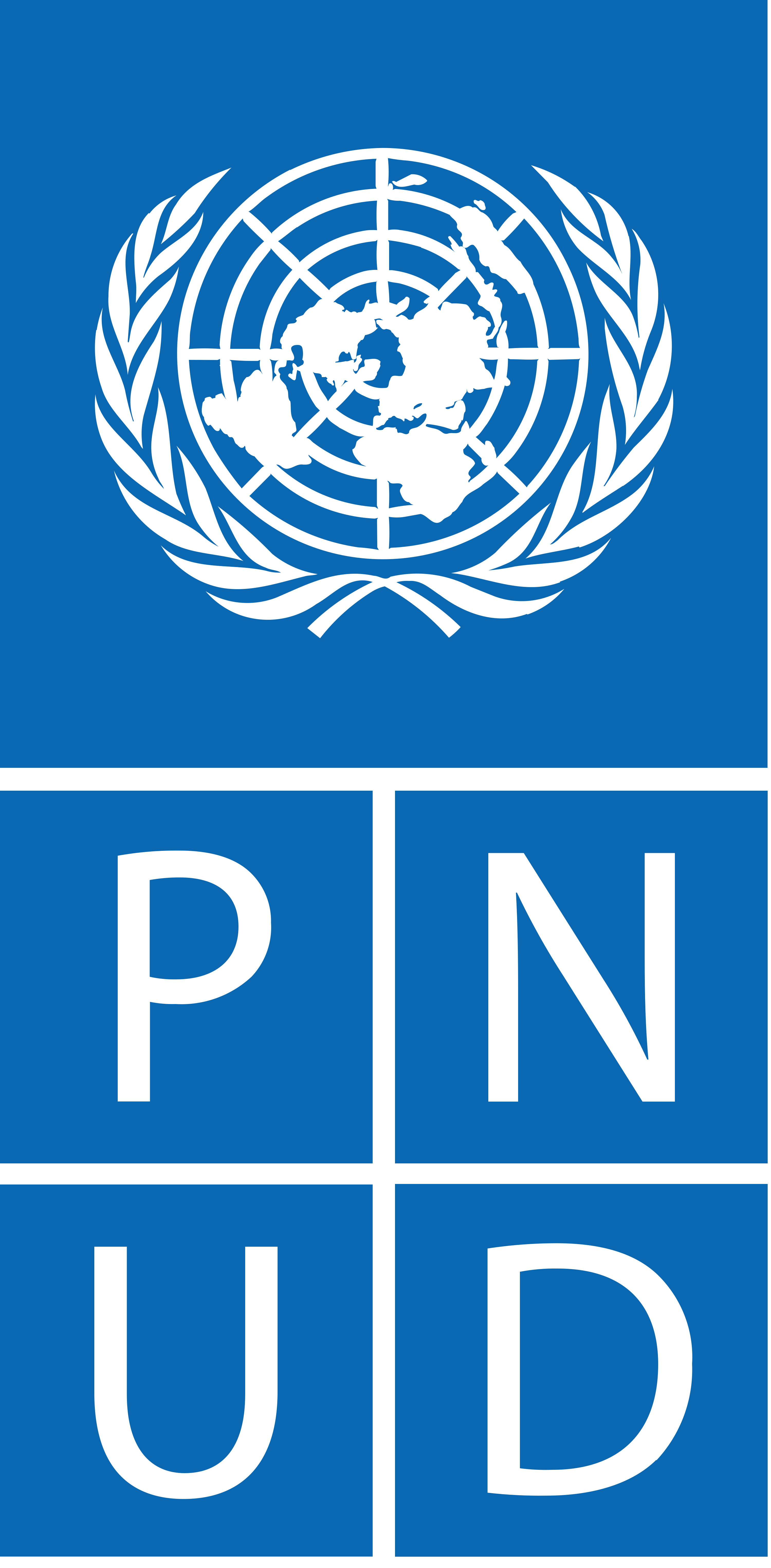 Programme des Nations Unies pour le développement